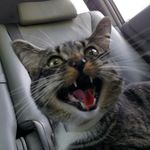 Larry Nickerson - @larry.nickerson.official - Instagram
