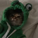 Larry Leo Nieves - @seanupdasco_ - Instagram