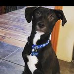 larry night - @larry_nightingale - Instagram