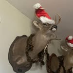 Larry Ogle - @larryogle1 - Instagram