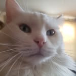 Larry Oglesby - @larry.oglesby.125 - Instagram