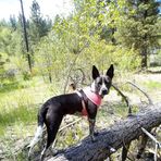 Larry Olson - Facebook