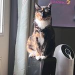 Larry Olson - @larryolson3739 - Instagram