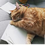 Larry Olson - @larryolson361 - Instagram