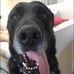 Larry Olszewski - Facebook