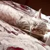 larryong_ - @larryong_ - TikTok