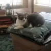 larryorban - @larryorban - TikTok