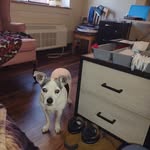 Wilbert Larry Orndorff - @wilbertorndorff - Instagram