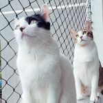 Scott & Larry - @scott.e.larry - Instagram