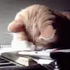 larryozment - @larryozment - TikTok