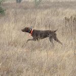 Larry Pappas - @gsp_larry - Instagram