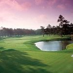Larry Pappas - @greek1470 - Instagram