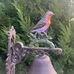 Larry Patrick - Facebook
