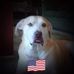 Larry Perrin - Facebook