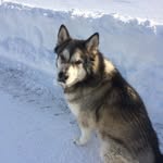 Larry Perrin - @perrin_larry - Instagram
