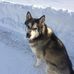 Larry Perrin - Facebook