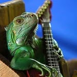 Larry Persinger - @ltpersinger - Instagram