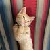 Larry Peter - Facebook