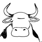 esoteric cow toolism - @larry_wayne_pettus_senior - Instagram