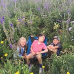 Larry Pfaff - @pfaff.larry - Instagram