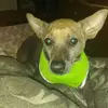 Larry Phariss - @larry.phariss - TikTok