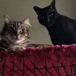 Larry Pinero - @larry.pinero.108 - Instagram