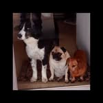 Larry Plumlee - @plumleelarry - Instagram