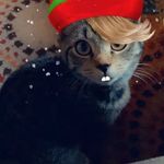 Larry Ulrich - @prestigeplaygrounds - Instagram