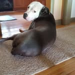 Larry Priest - @larry.priest.1029 - Instagram