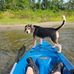 Larry Priest - Facebook