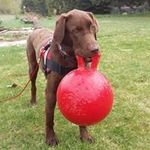 Larry Prosser - @sunnyshoreacres - Instagram