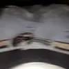 LARRY PUNCHLINE - @larry.punchline - TikTok