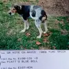 larrypiatt129 - @larrypiatt129 - TikTok