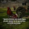 Larry Quintero - @larryquintero555 - TikTok