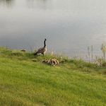 Larry Almquist - @larryalmquist - Instagram