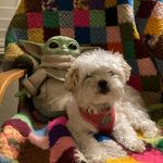 Larry Nyquist - @larrynyquist57 - Instagram