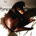 Larry rainwater - @larryrainwatr - Instagram
