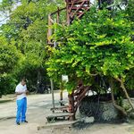 Larry Ramirez - @chicoraw - Instagram