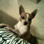 Larry Ramirez - @larryramirez - Instagram