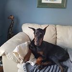 Larry Randle - @larry.randle - Instagram