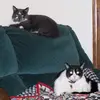 larryrand272 - @larryrand272 - TikTok