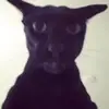 larryranks1 - @larryranks1 - TikTok
