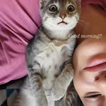 larry - @larry_rath_jr - Instagram