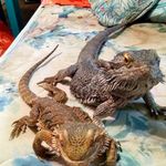 Larry Rathbone - @larryrathbone - Instagram