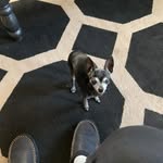 Larry Reamy - @reamylarry - Instagram