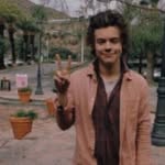 ⋆ ˚｡⋆୨୧˚ fp for Harry ˚୨୧⋆｡˚ ⋆ - @reasonbeinglarry - Instagram