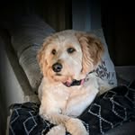 Larry Reasoner - @larry.reasoner - Instagram