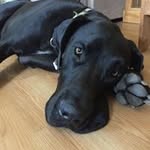 Larry Reasoner - @larryreasoner - Instagram