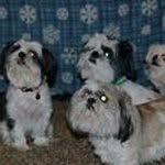 Larry Brenner - @larry.brenner - Instagram