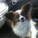 Larry Rhoades - @larry_rhoades - Instagram